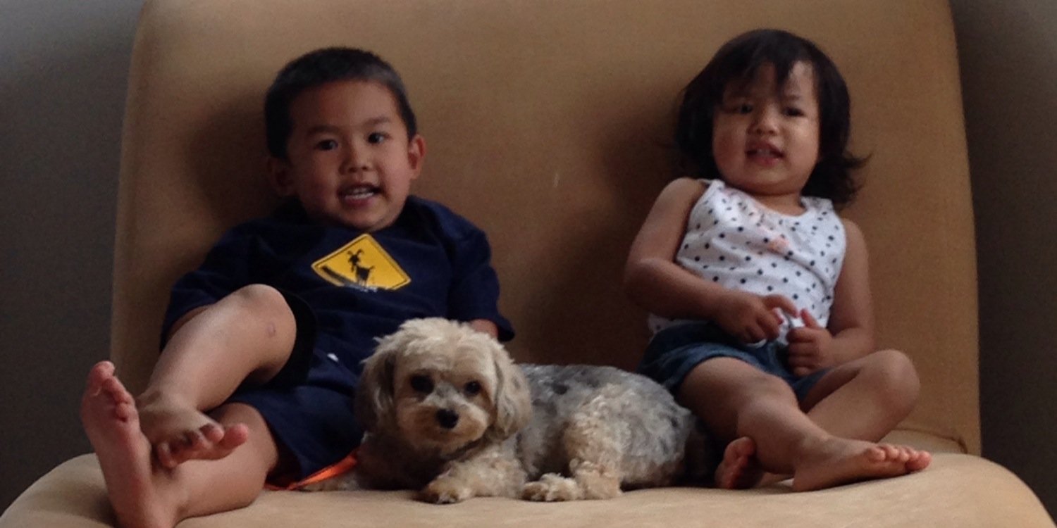 bcheong75's profile banner image
