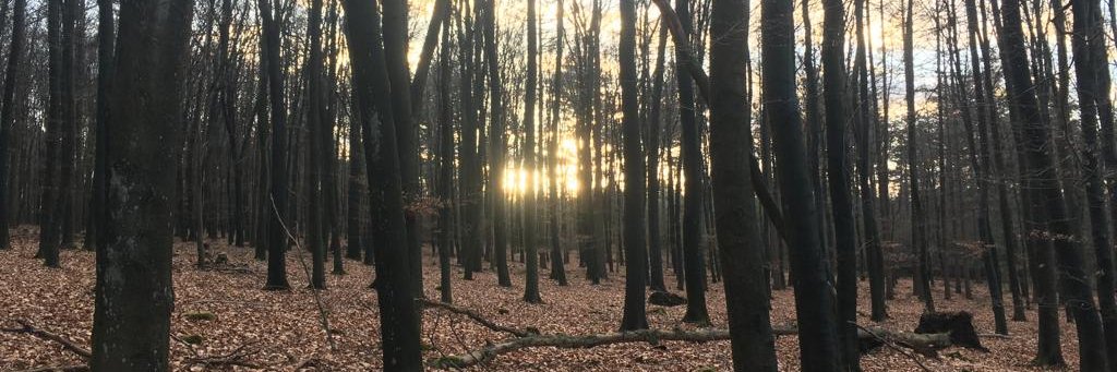 KarlijnSmit's profile banner image