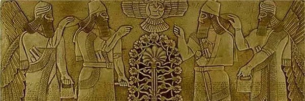 nibiru926's profile banner image