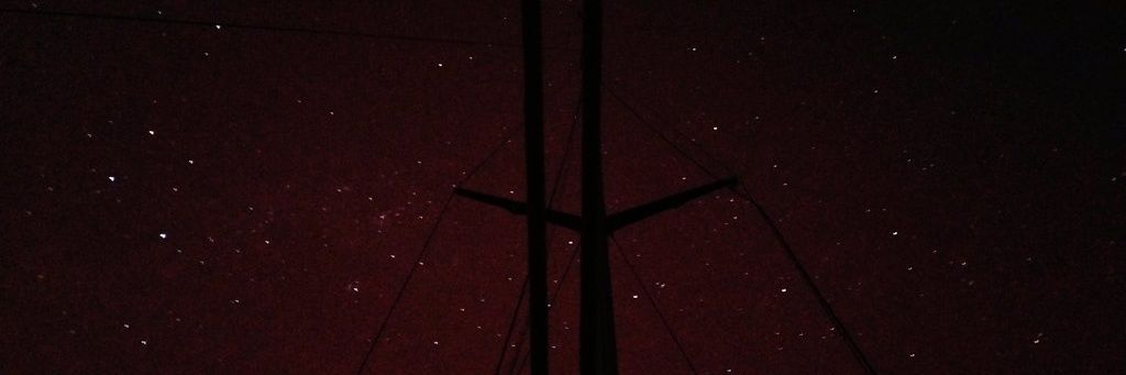 ❤️⛈️⛺ Pure Democracy NZ ⛺ banner