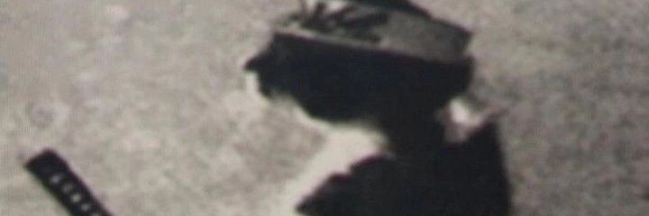 RaheemAluk's profile banner image