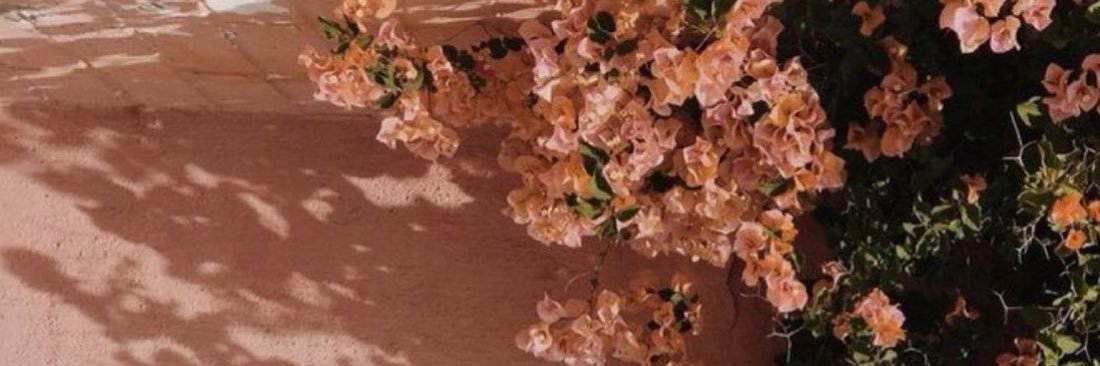 mayrakitty21's profile banner image