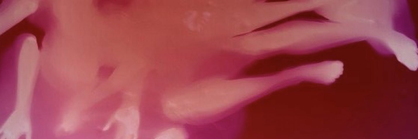 KD1LLA's profile banner image