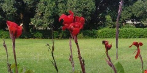 nitish31shukla's profile banner image