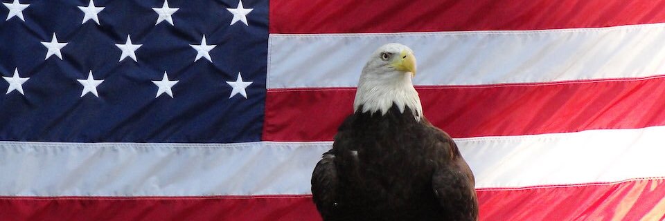 UBCollegeGOP's profile banner image