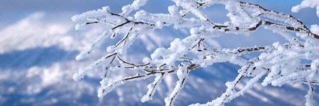 air_powder's profile banner image