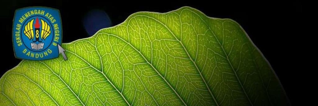 Konservasi Delapan banner