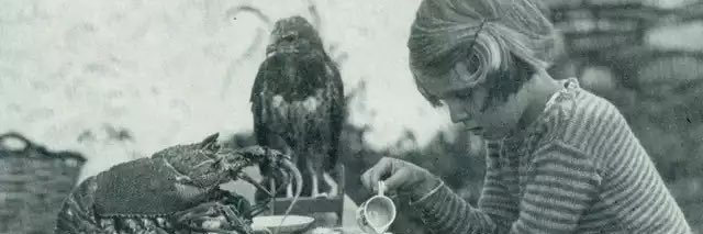 Keely Sullivan den Bergh banner