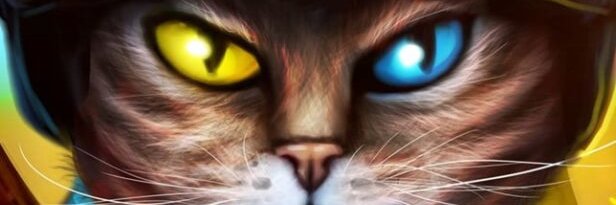 agendasandi's profile banner image