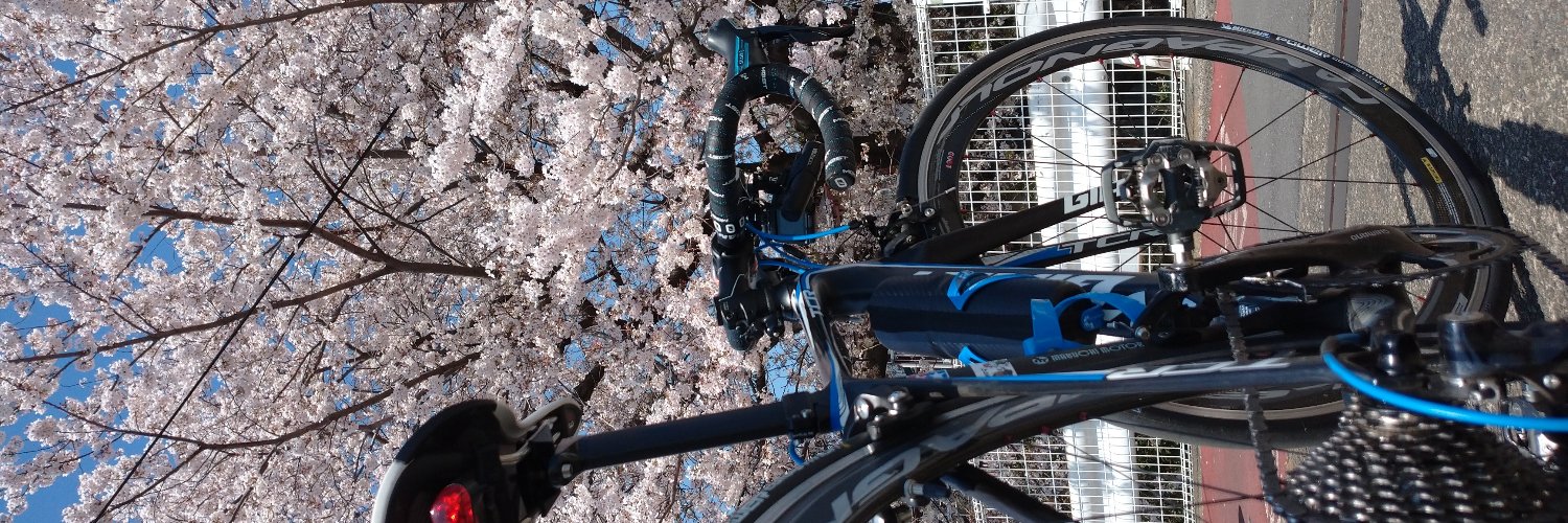 ｼﾞﾝｸｽ banner