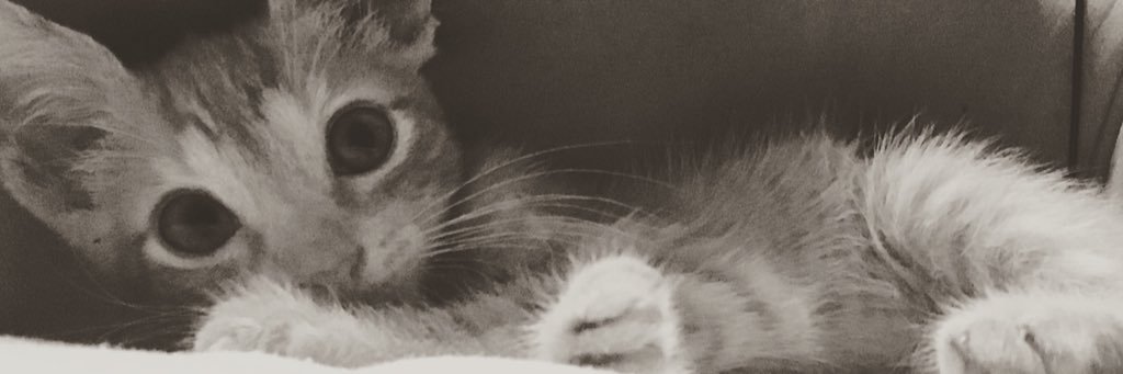 alabiosalee's profile banner image