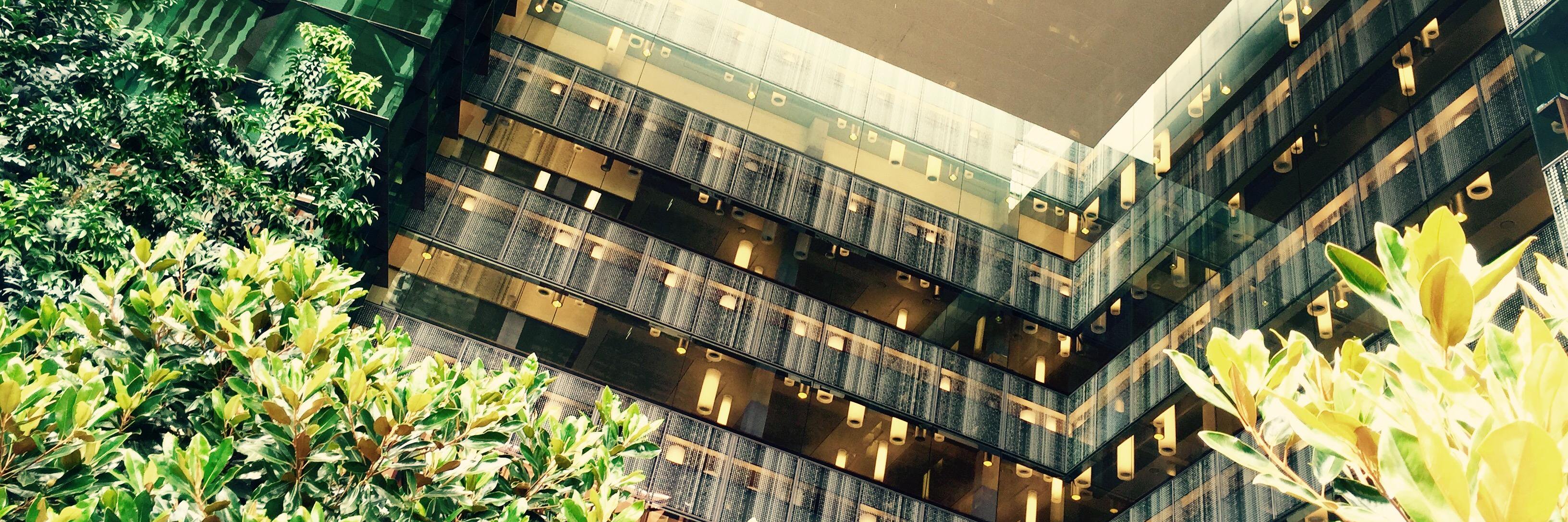 UQ Dermatology Research Centre banner