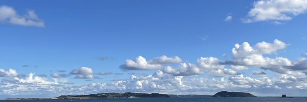 Nickleh Profile Banner