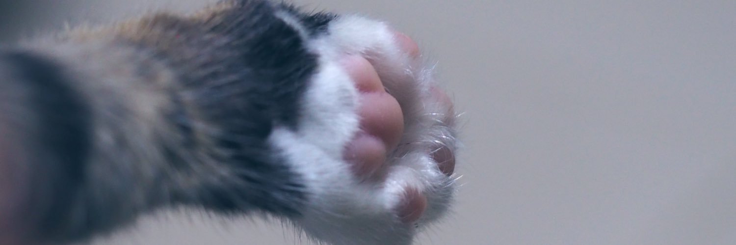 🔥เกี๊ยววววก่อบ 🚜🪏🪓 banner