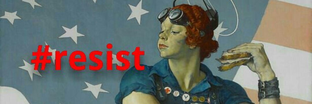 jan dodge banner