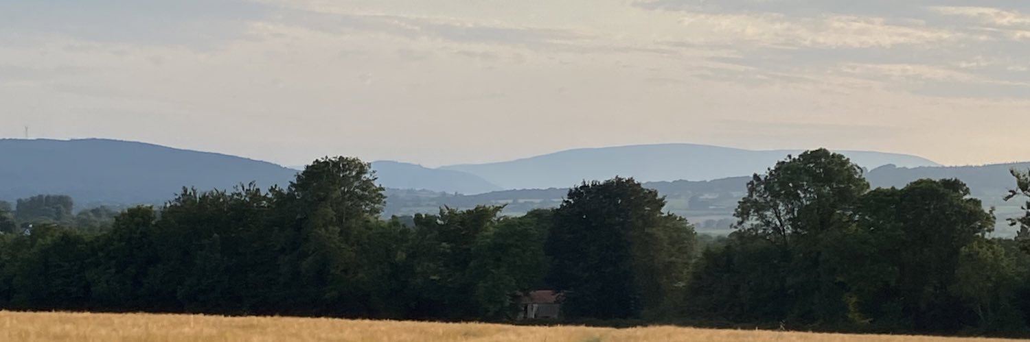 Richard Hogan banner