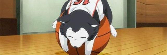 Steel Dobla 💀/💄/ 🎼/⏳️ / 🎩 / 🔆 banner