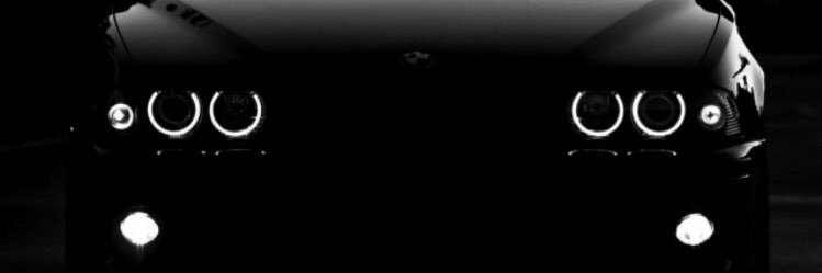 Hillywalnut's profile banner image