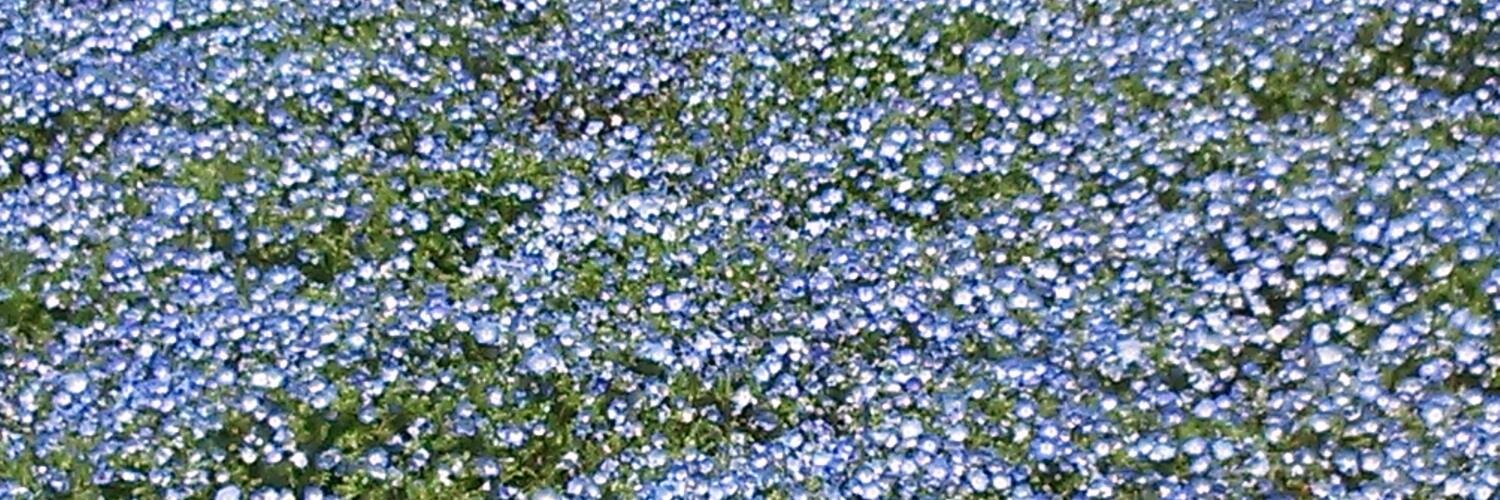 hydorophy5sp's profile banner image