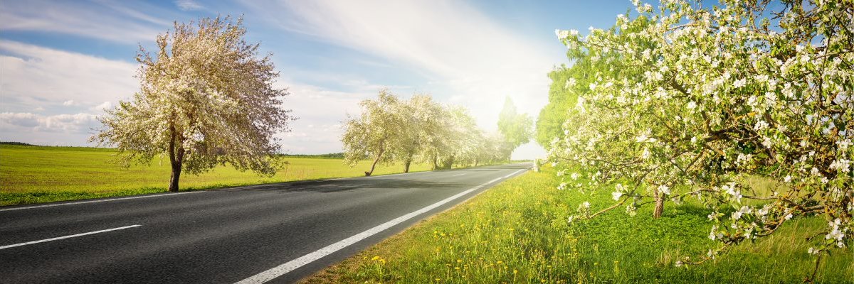 VDA_online's profile banner image