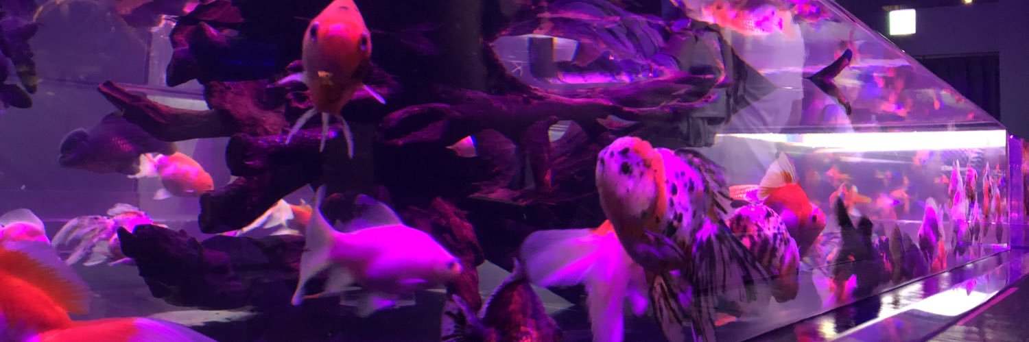 3104Odenkun's profile banner image