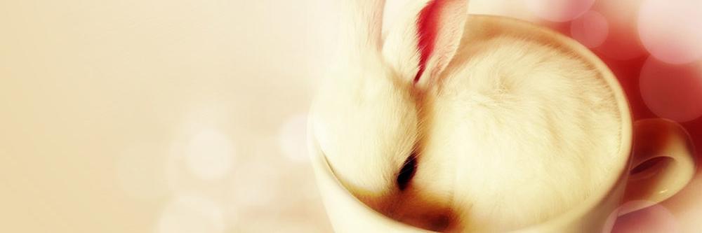 BB908_'s profile banner image
