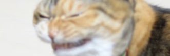 sk11eight's profile banner image