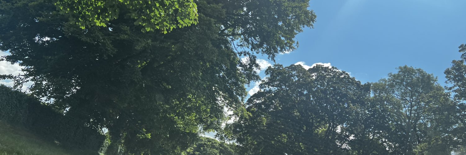 KatyaLopezV's profile banner image
