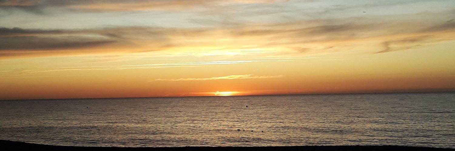 Tanilula's profile banner image