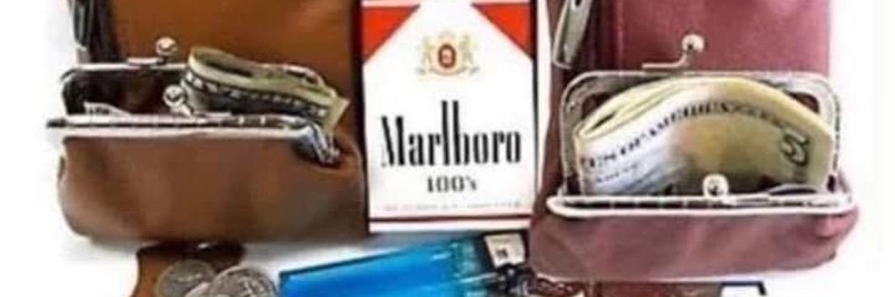 Bitcoin Saluki banner