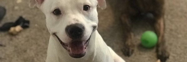 ohshxtfe Profile Banner