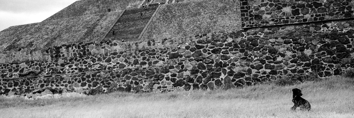nathanconnelly's profile banner image