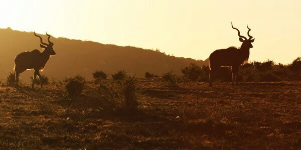 Hunting1435's profile banner image