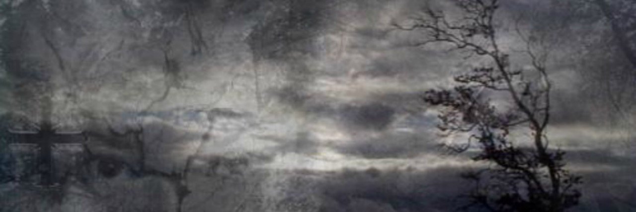 kaarpushonok's profile banner image