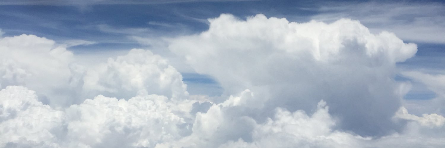 newmlm2026's profile banner image