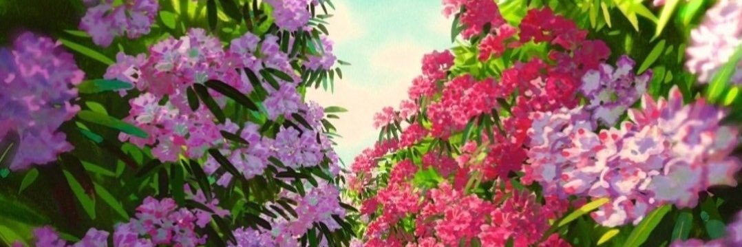 Alejaandroe's profile banner image