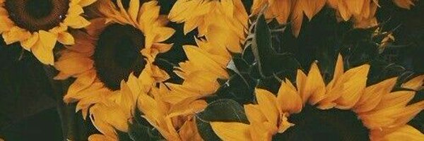 sofiadfp96 Profile Banner