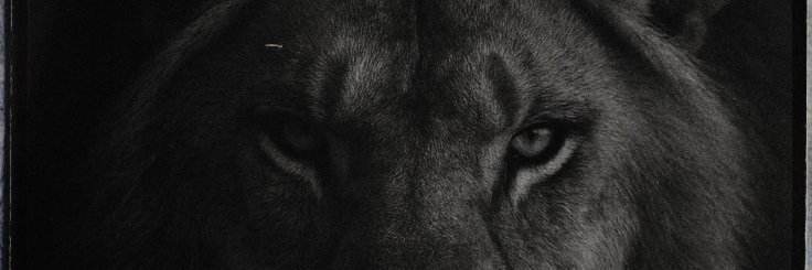 SWARGALAYA's profile banner image