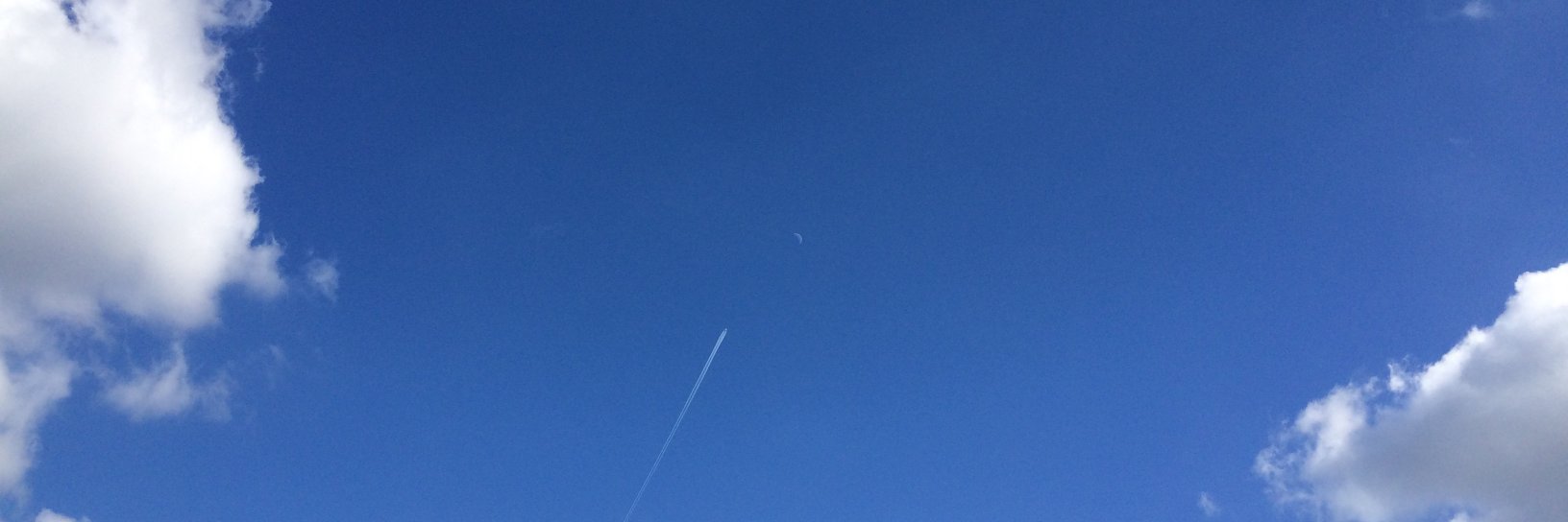 Matt Turmaine MP banner