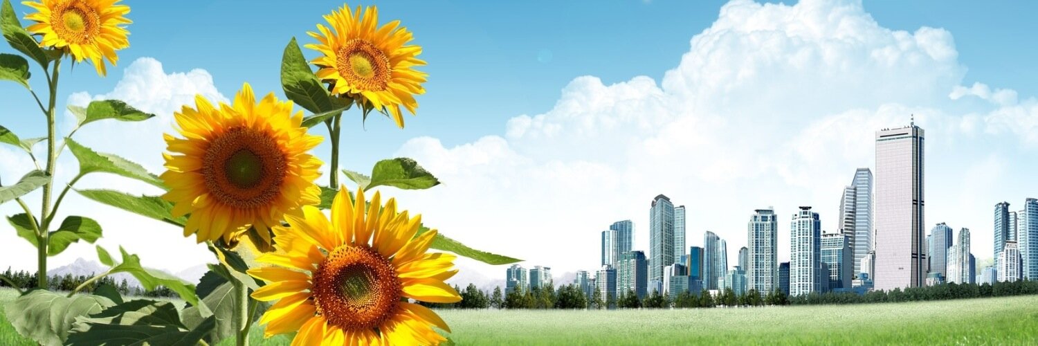VegJobs's profile banner image