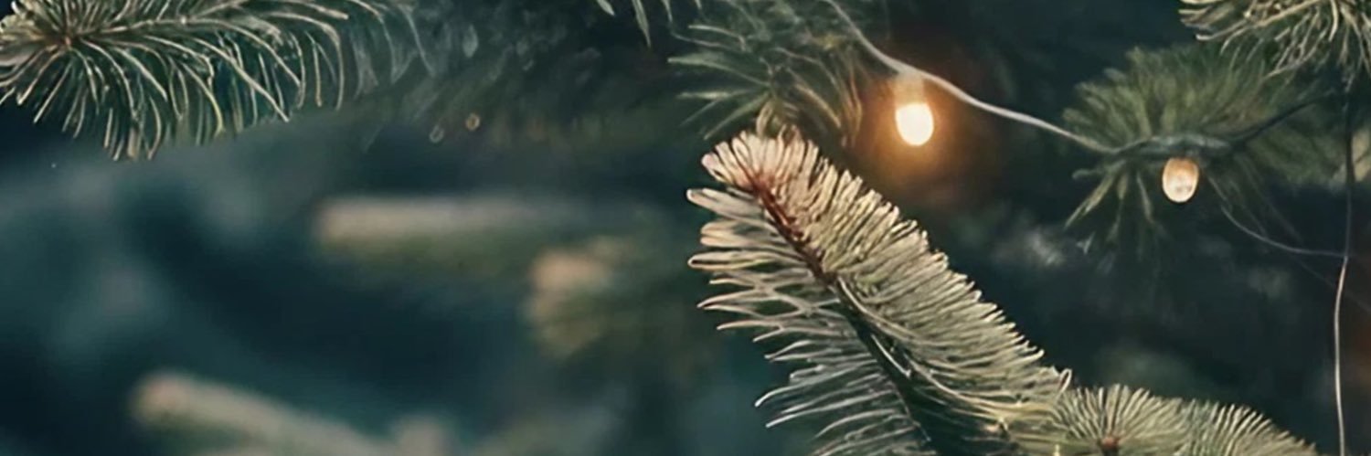 Assoc. Prof. Dr. M. Umut Demirezen banner