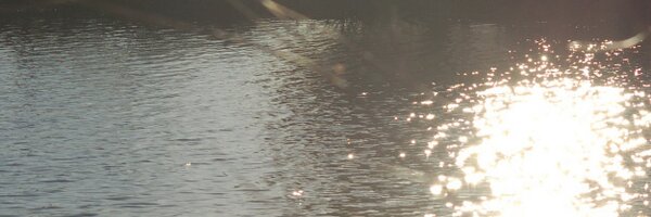 aseymour60 Profile Banner