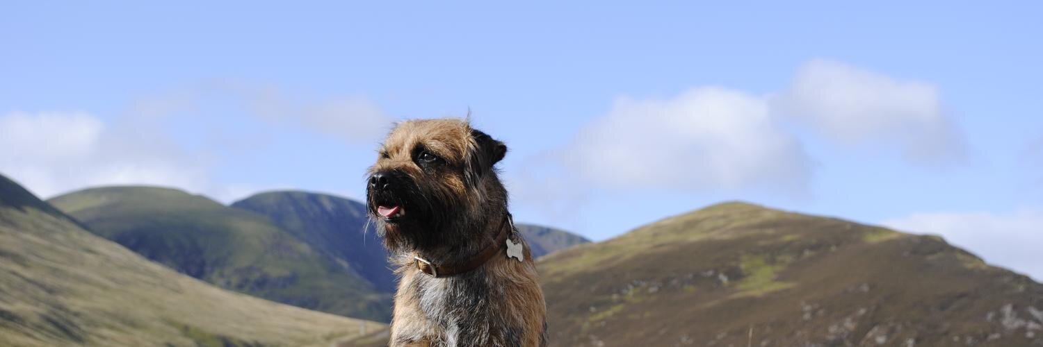 ScotgateHolidayPark banner