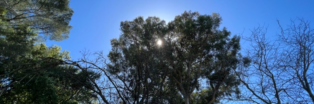 MarkWC 🇺🇸 banner