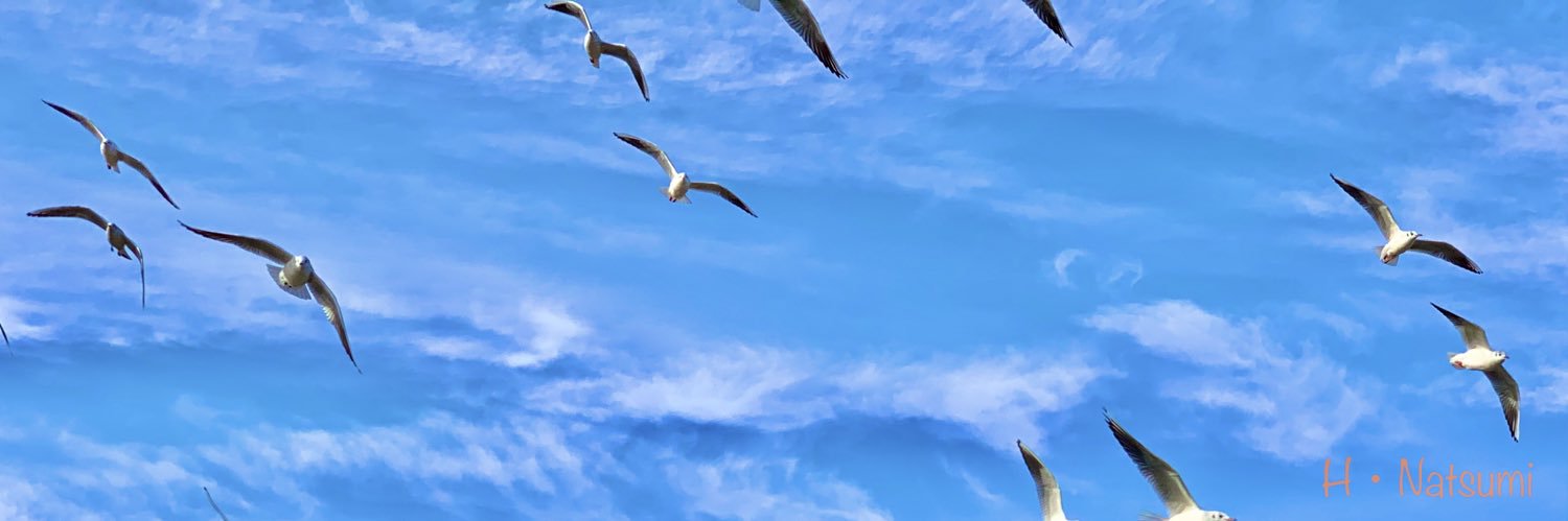 hdsm723's profile banner image