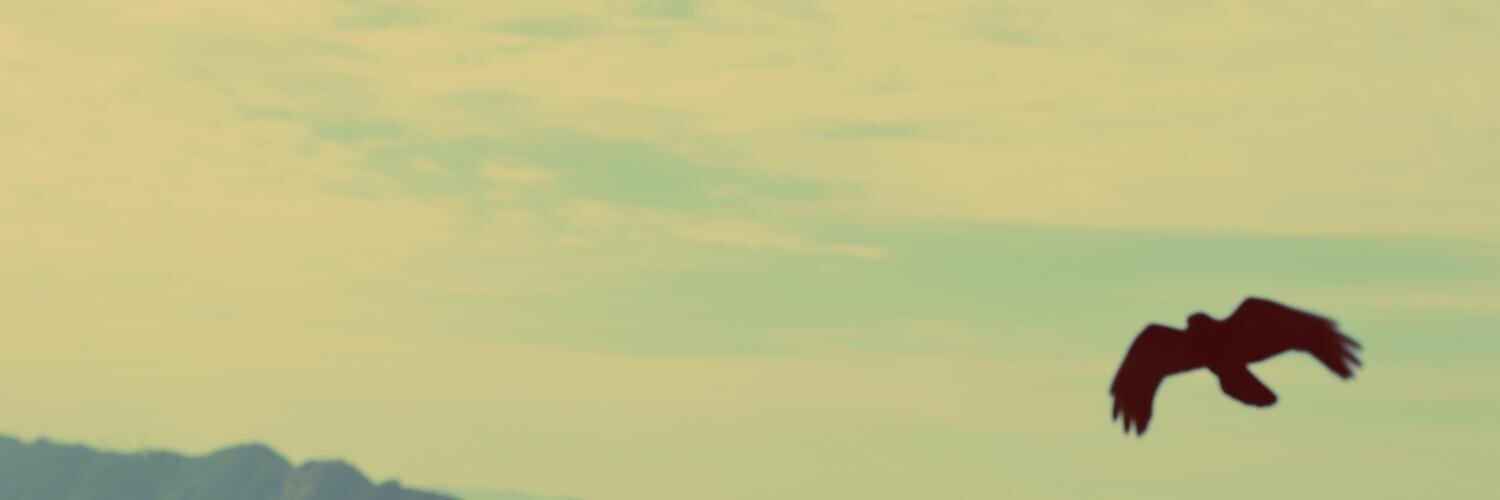 Sunh_shine's profile banner image