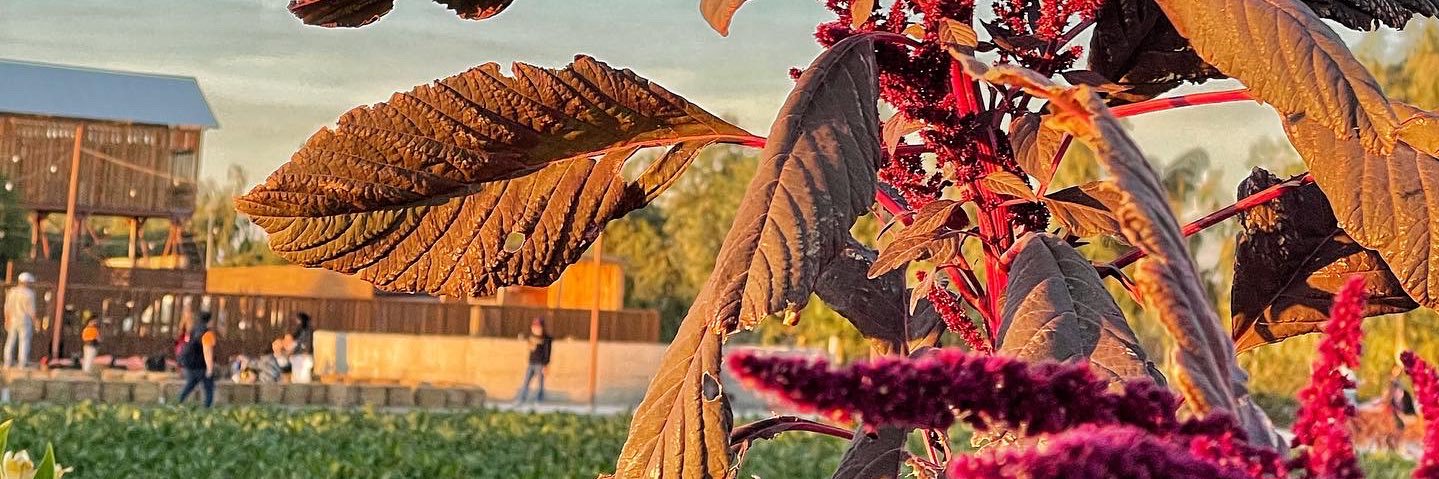 dhuha_94's profile banner image