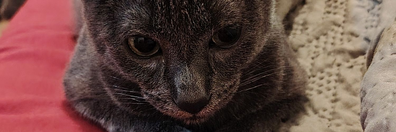 barbara00006's profile banner image