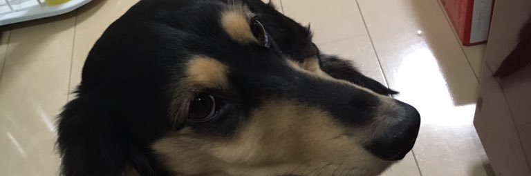 救いのヒーロー banner