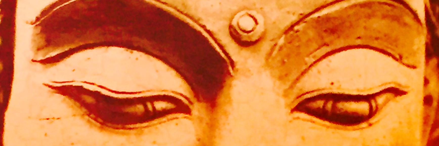 sylviaspirit's profile banner image